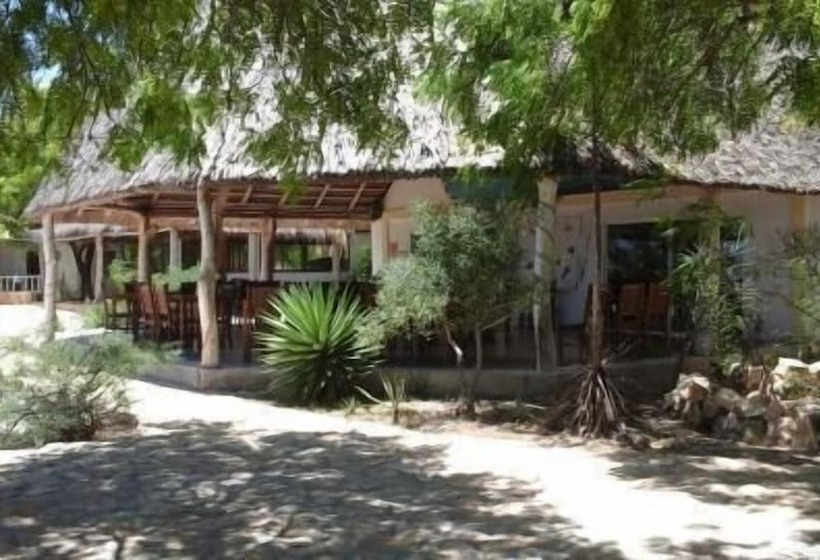 هتل Caliente Beach Lodge