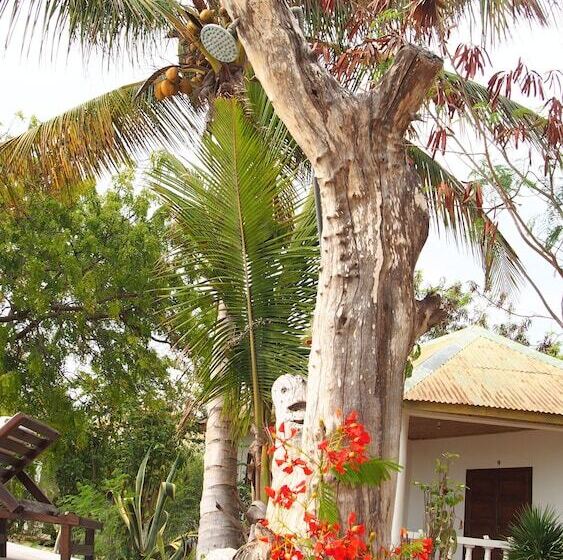 هتل Caliente Beach Lodge