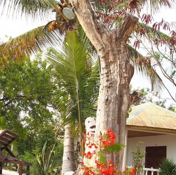 هتل Caliente Beach Lodge