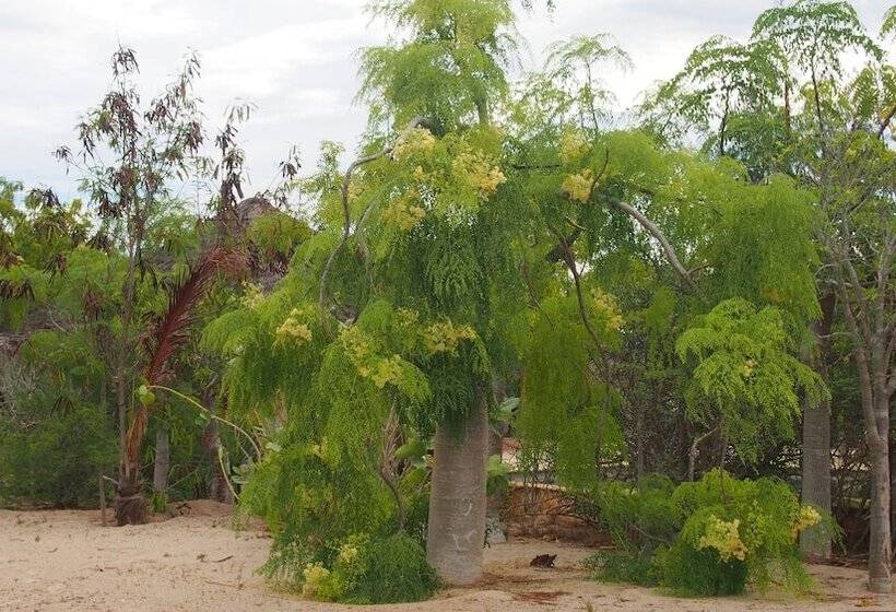 هتل Caliente Beach Lodge