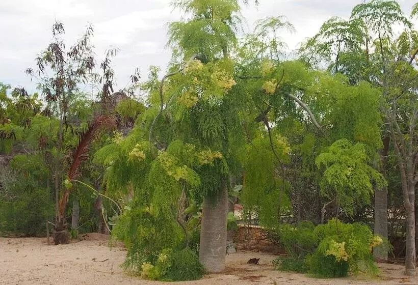 هتل Caliente Beach Lodge