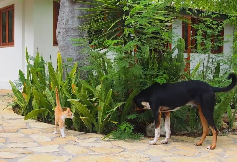 هتل Caliente Beach Lodge