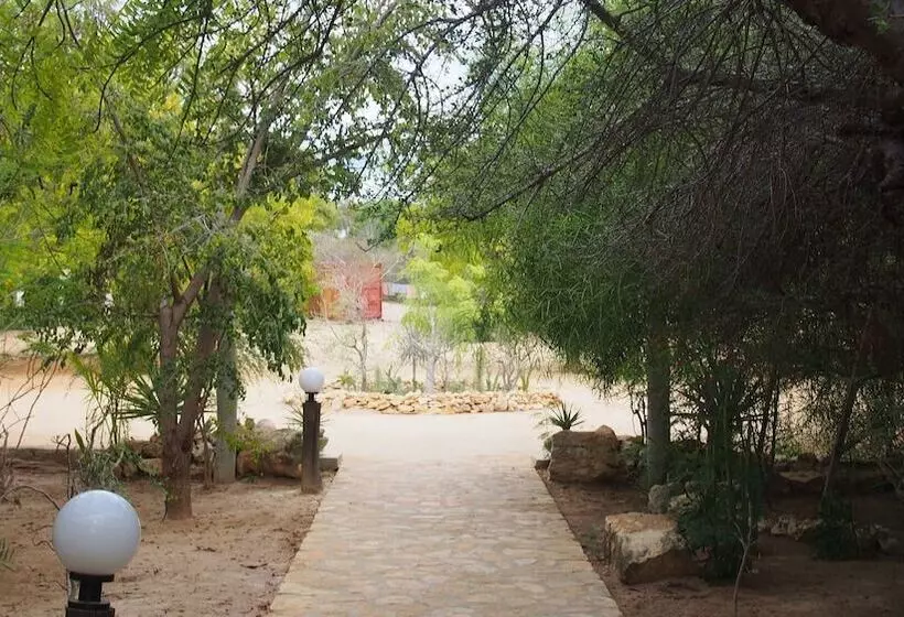 هتل Caliente Beach Lodge