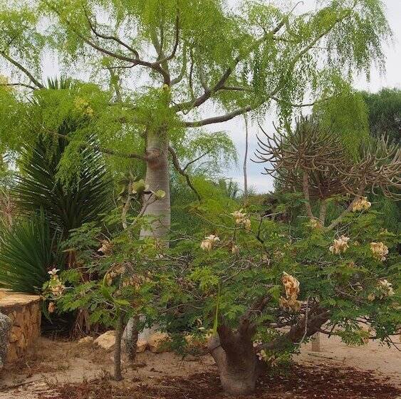 هتل Caliente Beach Lodge