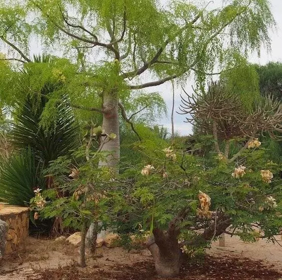 هتل Caliente Beach Lodge