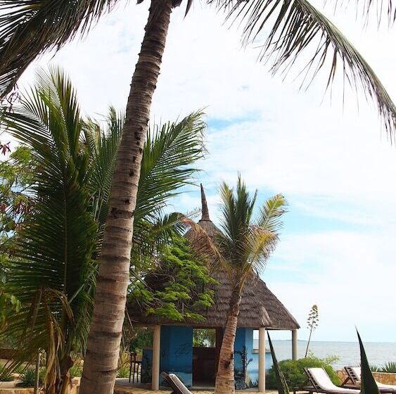 هتل Caliente Beach Lodge