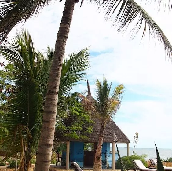 هتل Caliente Beach Lodge