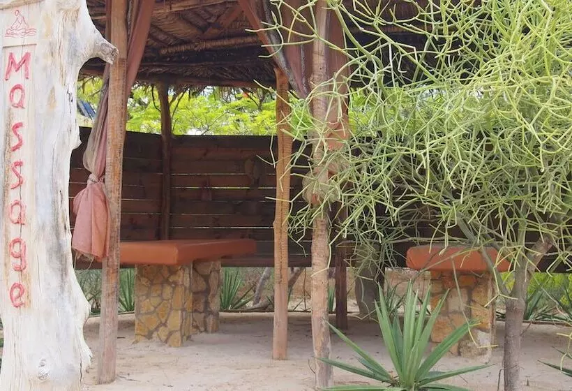 هتل Caliente Beach Lodge