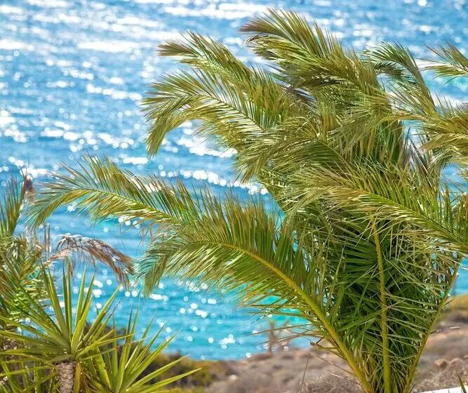 ホテル Pahivouni Studios & Suites