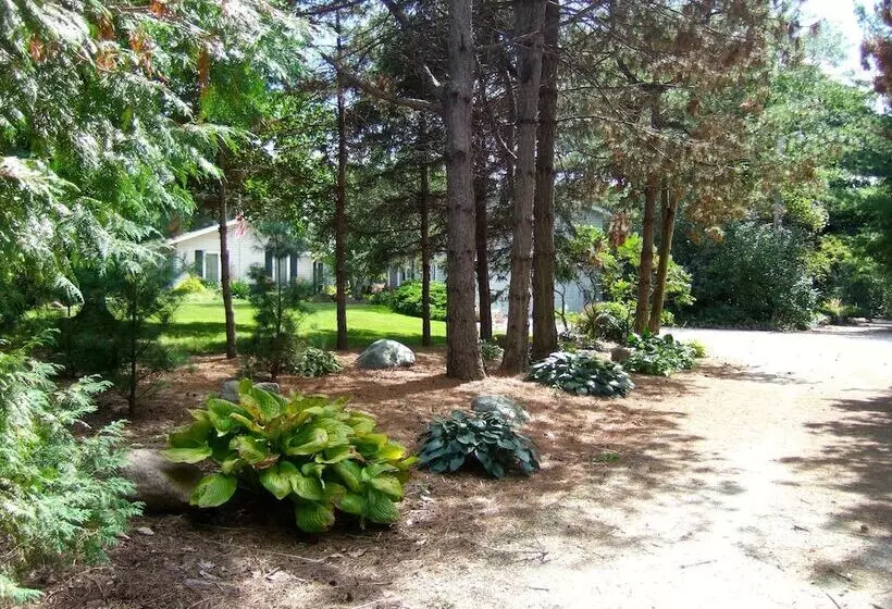 Loya S Little House Bed & Breakfast