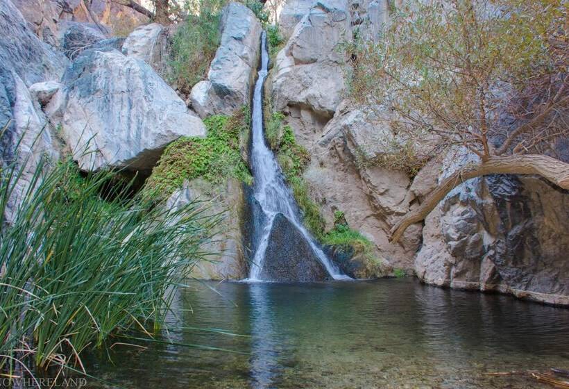 汽车旅馆 Panamint Springs Resort