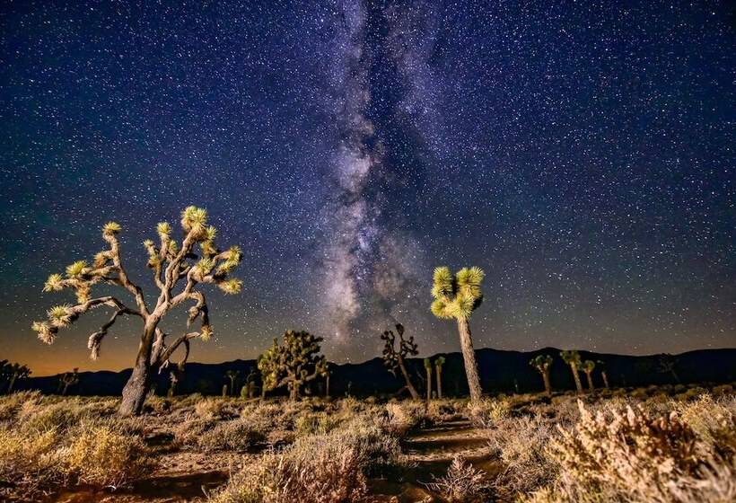 汽车旅馆 Panamint Springs Resort