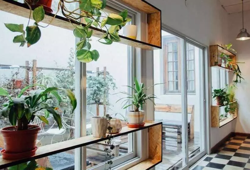 پانسیون Casa Helsinki Guest House