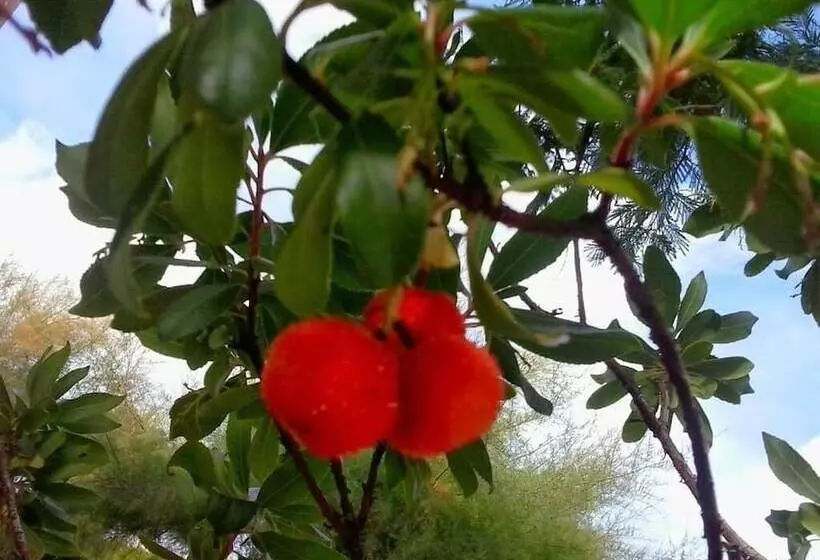ペンション Casa Rural Nido De Alcudia