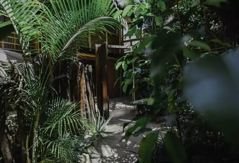 پانسیون La Maison Eco House & Rooms