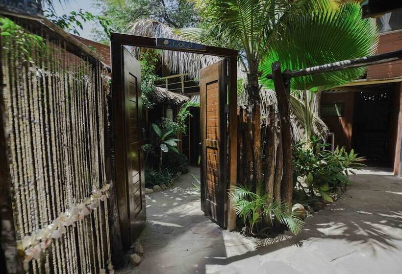 ペンション La Maison Eco House & Rooms