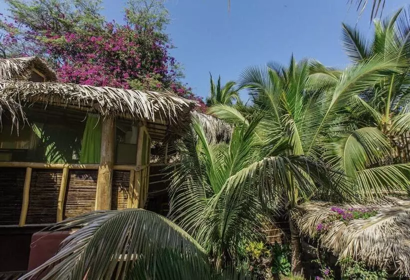 پانسیون La Maison Eco House & Rooms