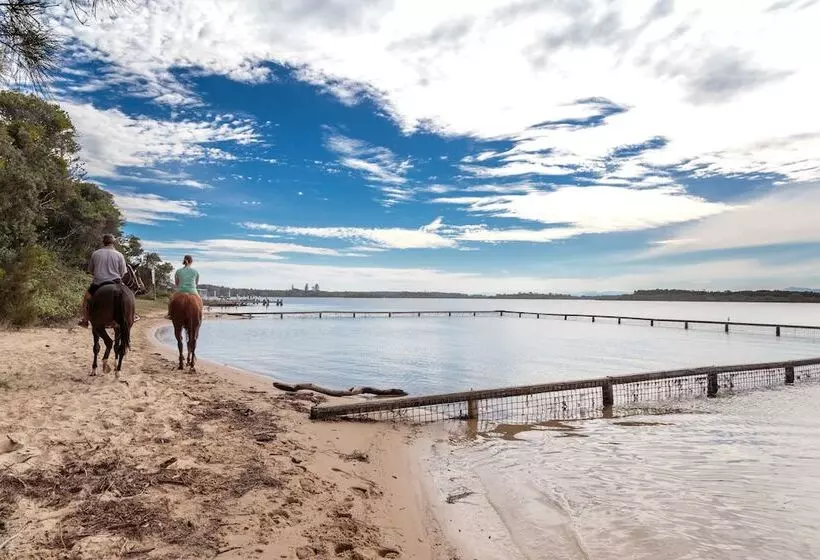 Lomakeskus Big4 Manning Point Holiday Park