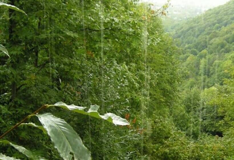 Ugurlubey Butik Dag Oteli