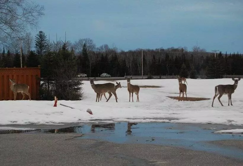 Auberge Motel Godard