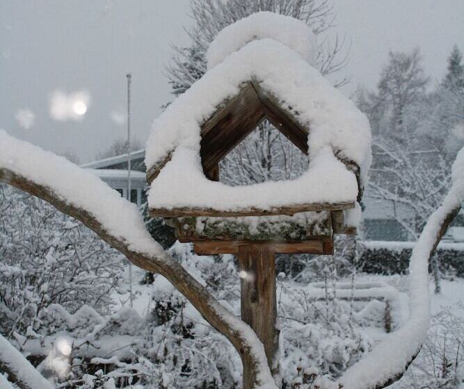 مبيت وإفطار Auberge Wanta Qo Ti