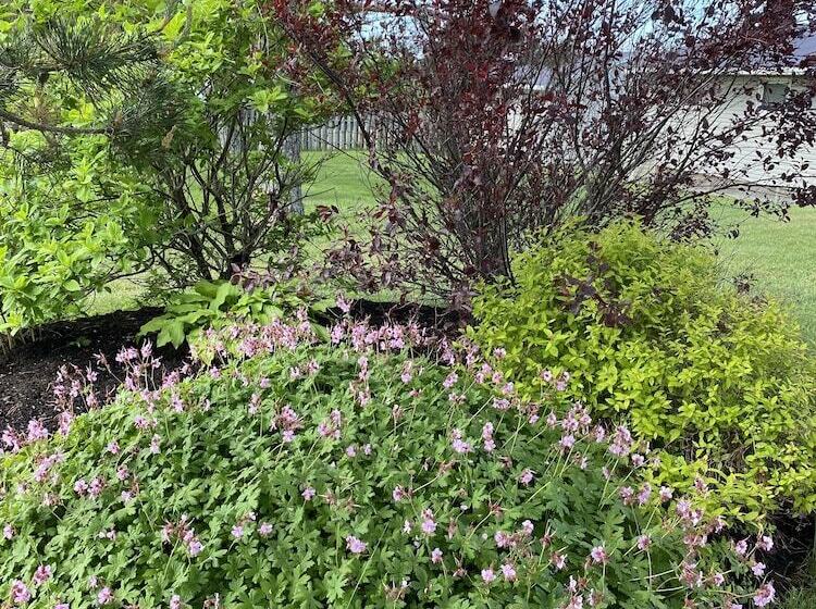 Cavendish Lodge & Cottages