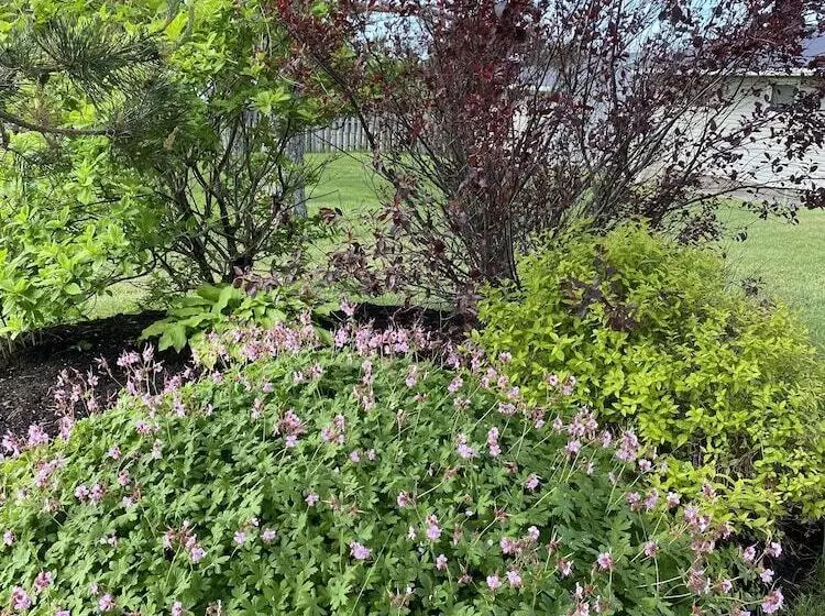 Cavendish Lodge & Cottages