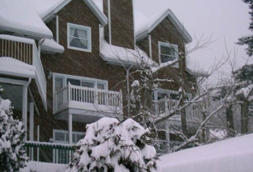 Chalets Sur Le Fjord