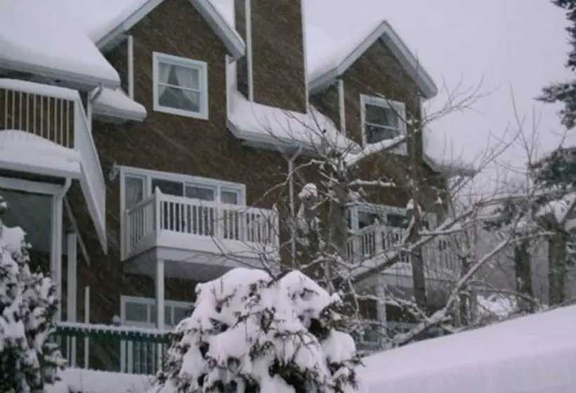 Chalets Sur Le Fjord