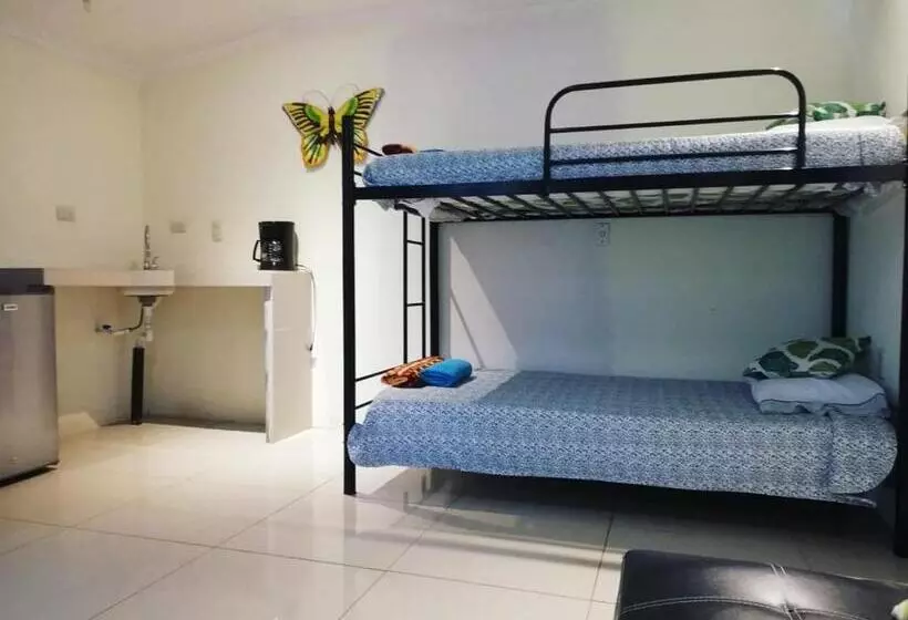 Hostelli Hospedaje La Galerie