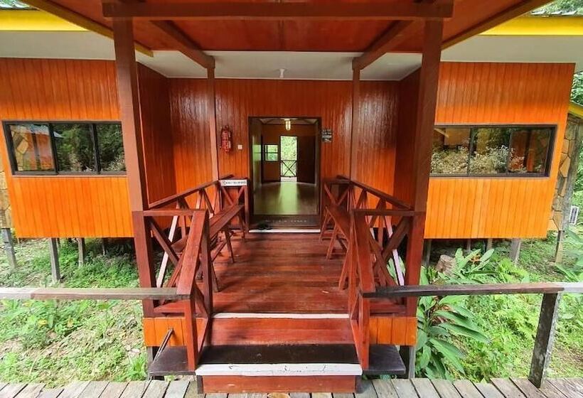 Hotel Bilit Adventure Lodge