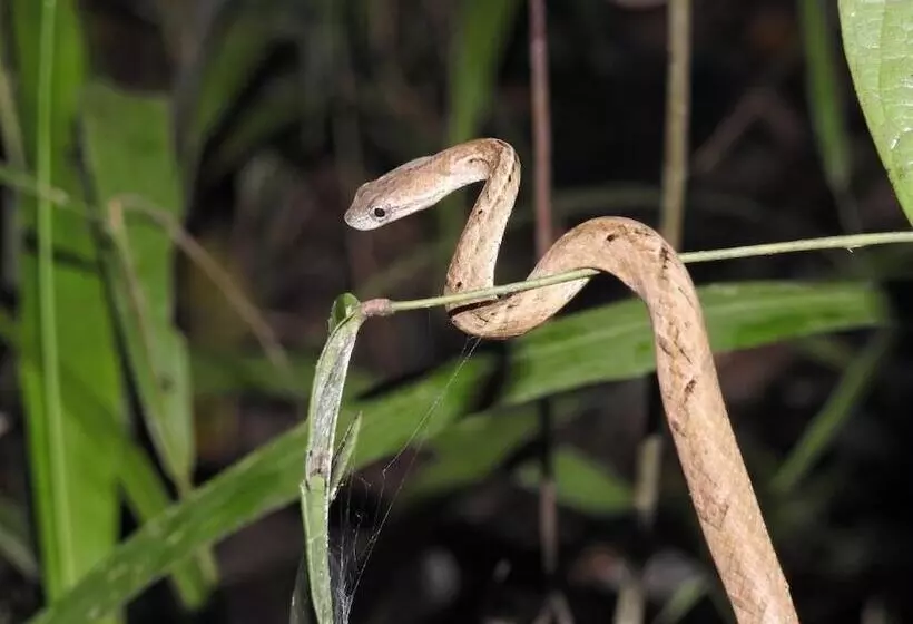 Hotelli Bilit Adventure Lodge