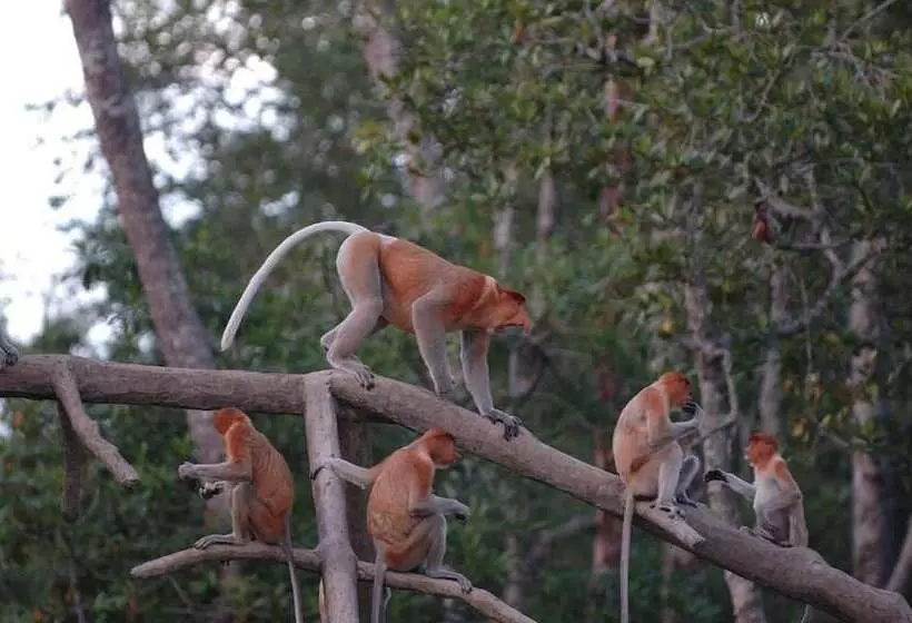 Hotelli Bilit Adventure Lodge