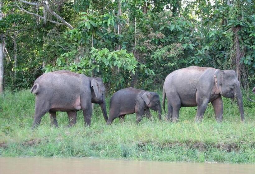 Hotel Bilit Adventure Lodge