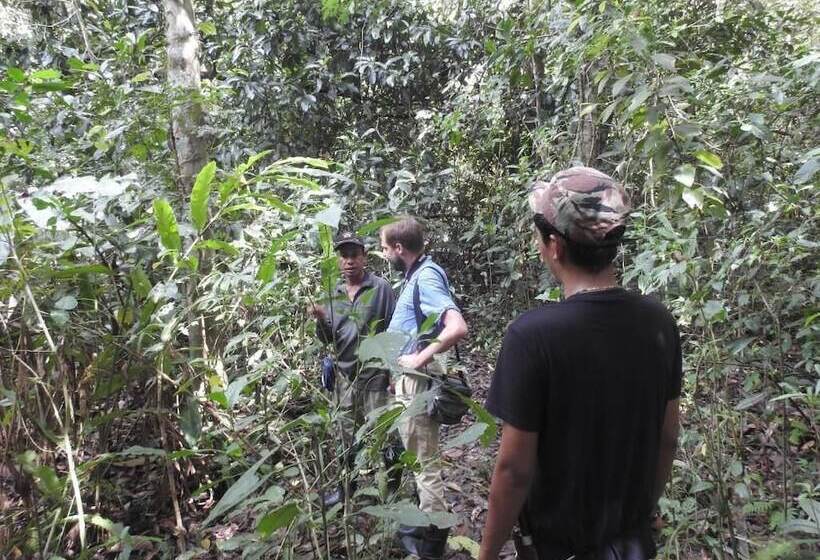 Hotel Bilit Adventure Lodge