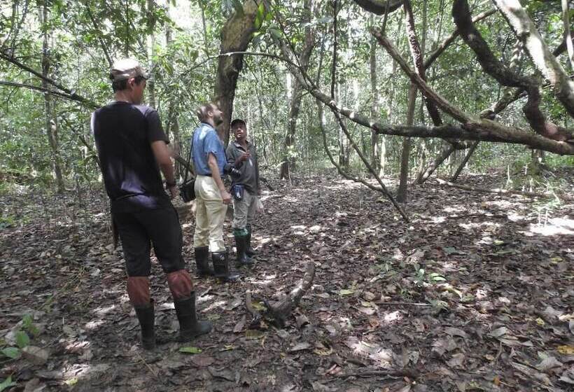 Hotel Bilit Adventure Lodge