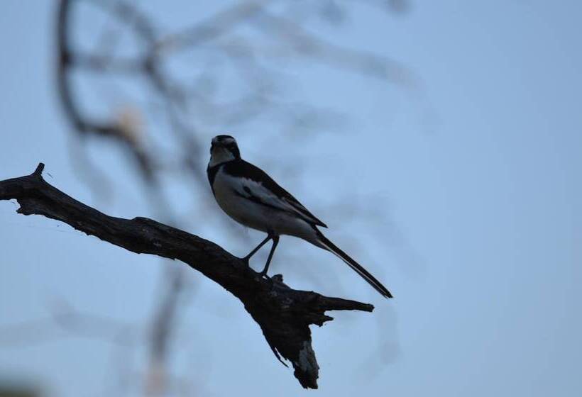 Hotelli Zambezi Dusk