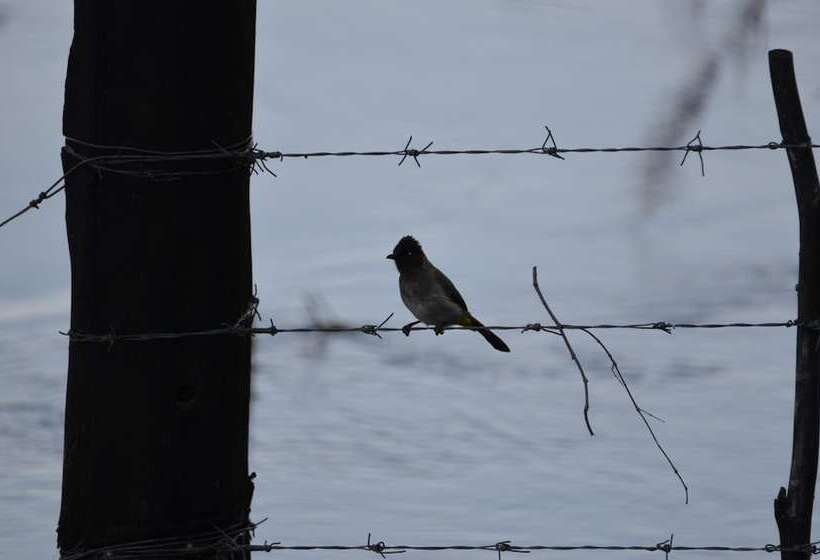 Hotelli Zambezi Dusk