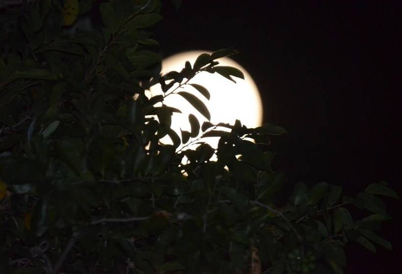 Hotelli Zambezi Dusk