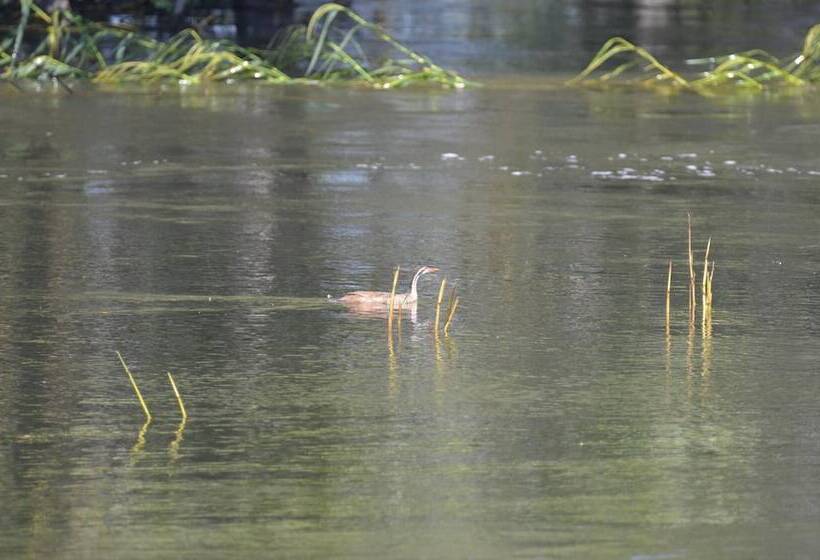 Hotelli Zambezi Dusk