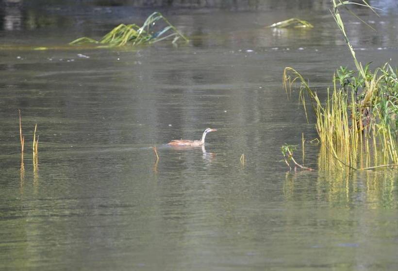 Hotelli Zambezi Dusk