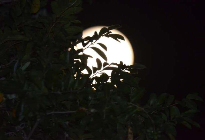 Hotelli Zambezi Dusk