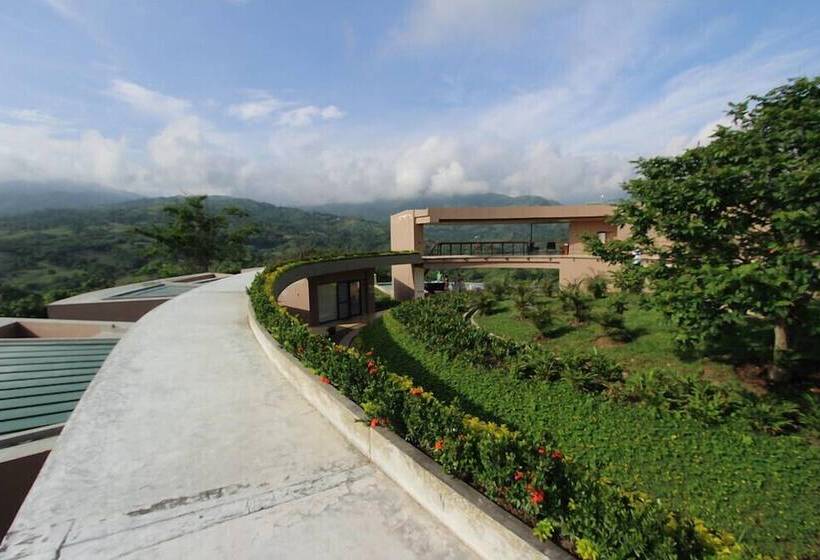 Hotel Casa Ambrosia   Adults Only