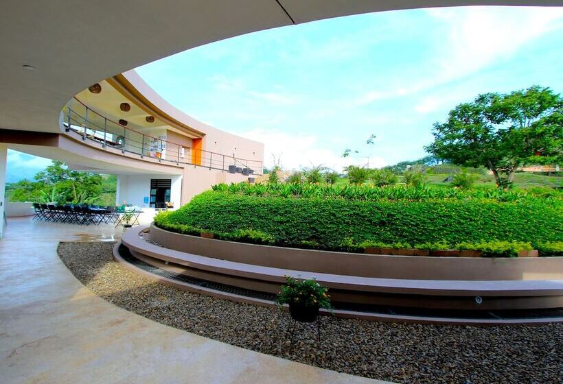 Hotel Casa Ambrosia   Adults Only