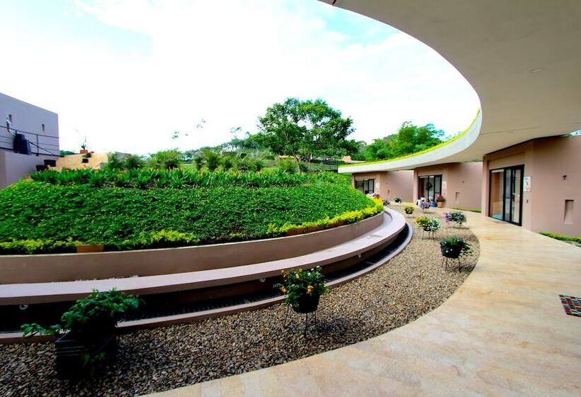 Hotel Casa Ambrosia   Adults Only