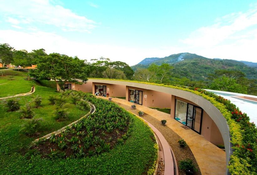 Hotel Casa Ambrosia   Adults Only