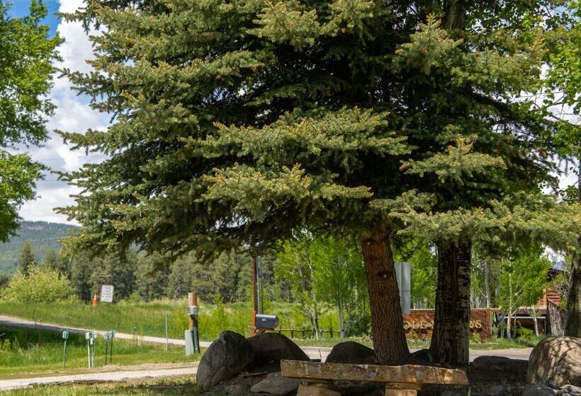 ホテル High Creek Lodge And Cabins