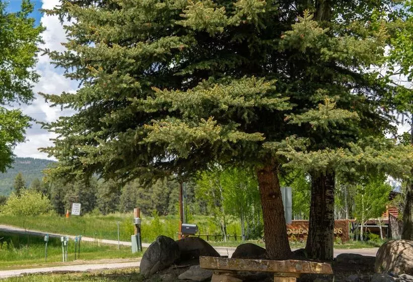 Hotelli High Creek Lodge And Cabins