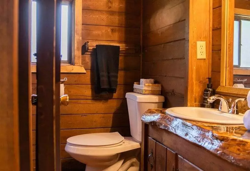 Hotelli High Creek Lodge And Cabins