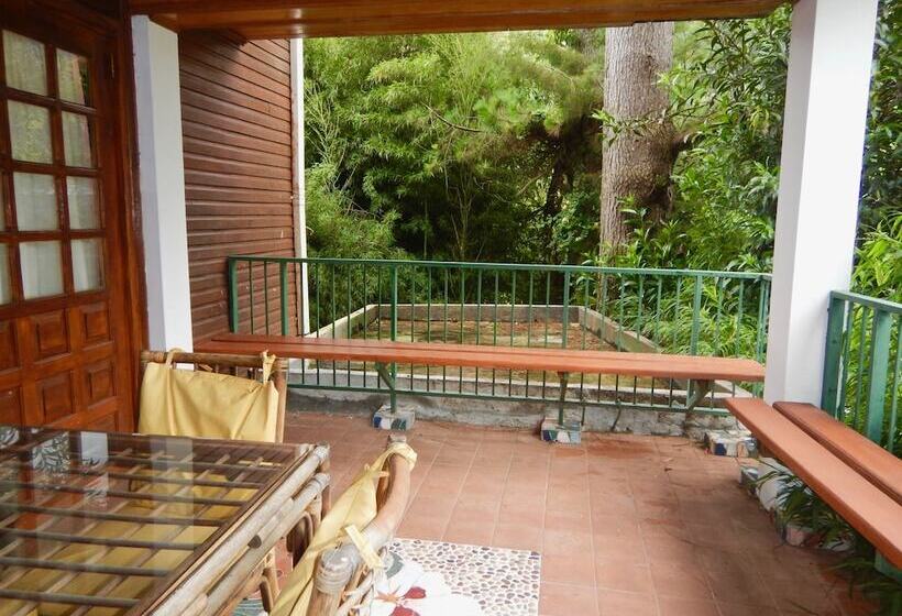 Hotel Los Quetzales Ecolodge & Spa